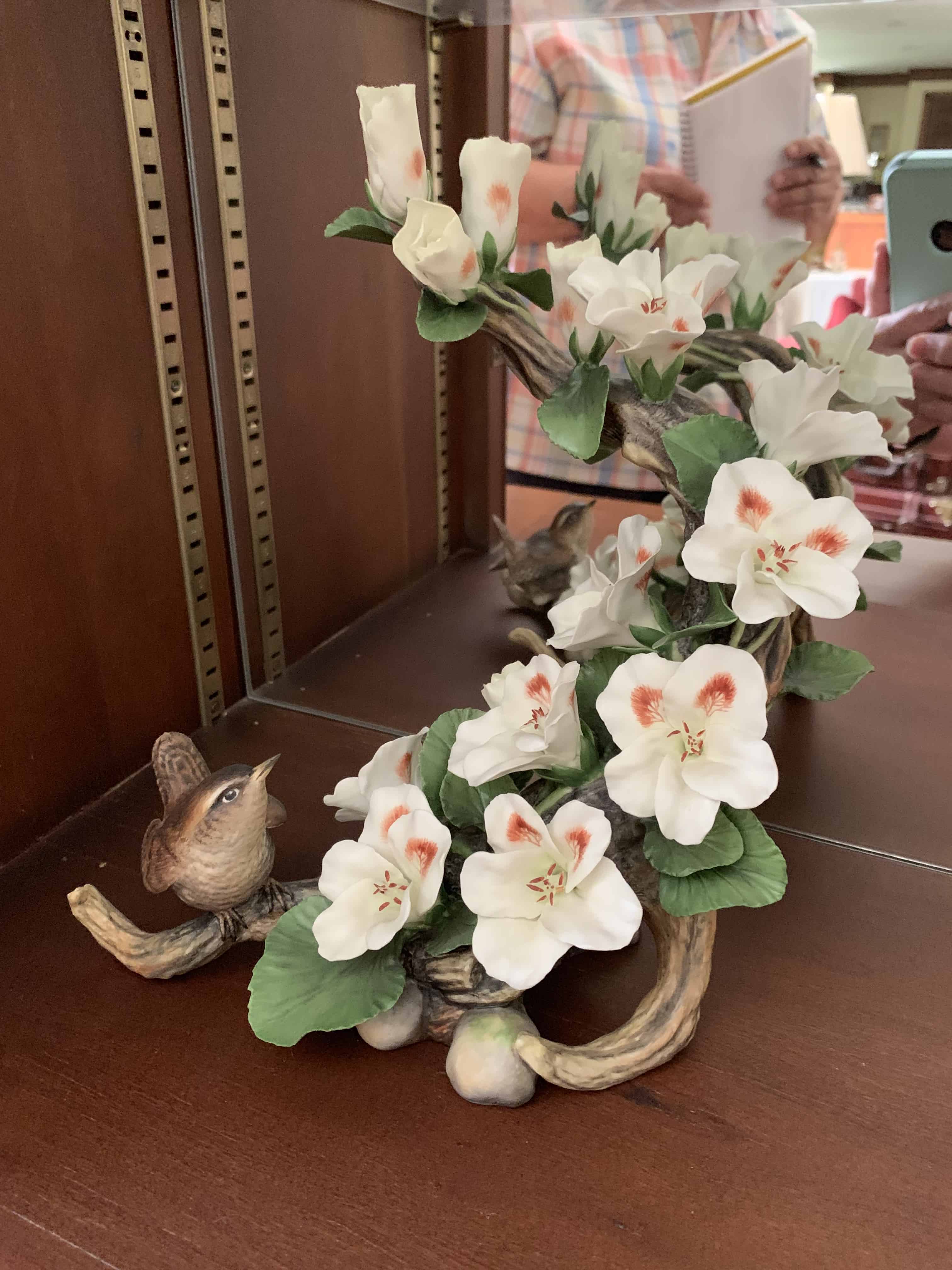 Boehm Pelargonium with Wren (Troglodytes trolodytes)